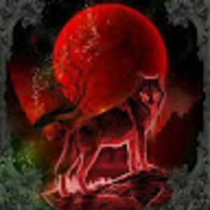 Meet your Posher, Jasper